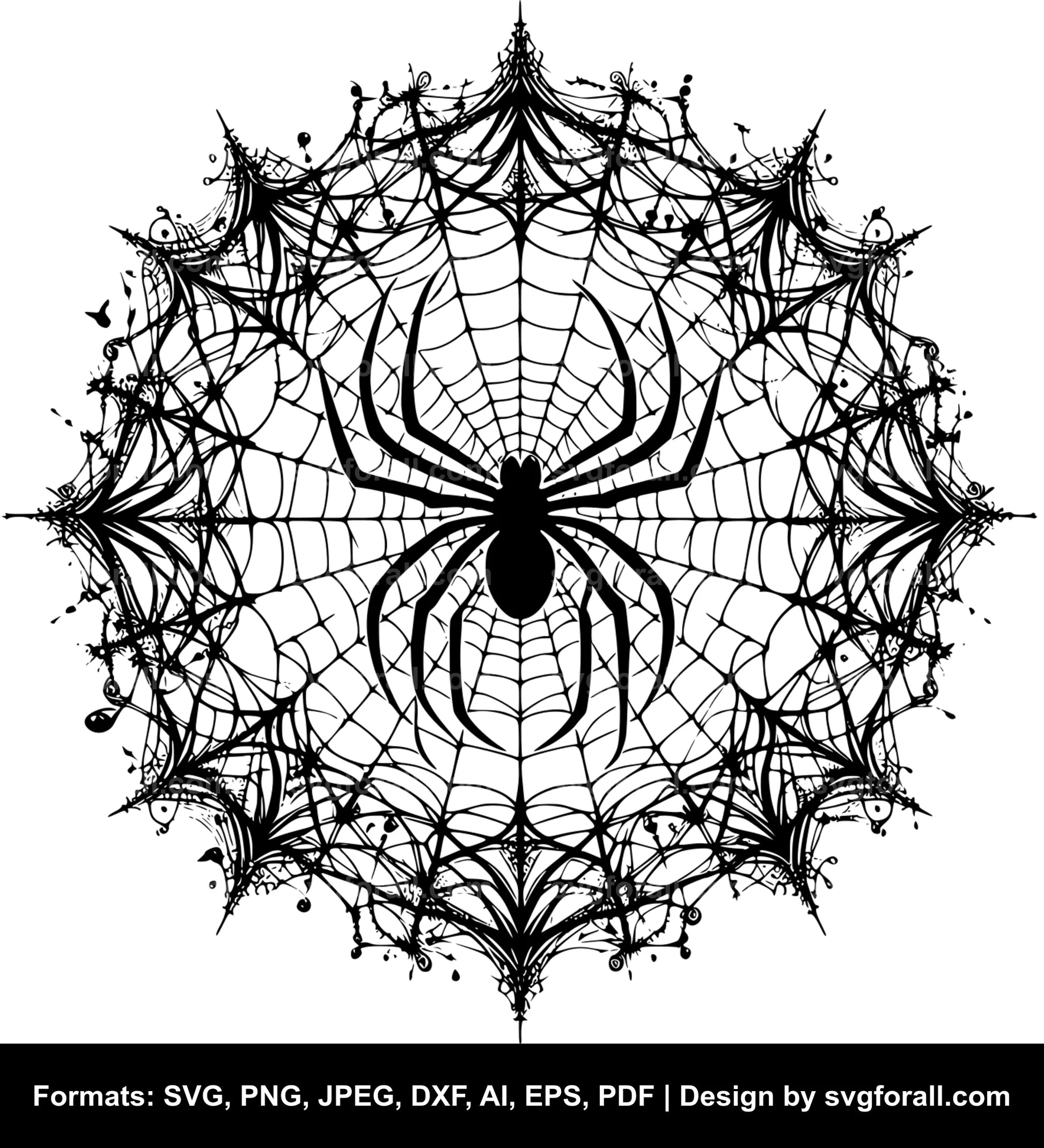 Spider Web SVG Vector