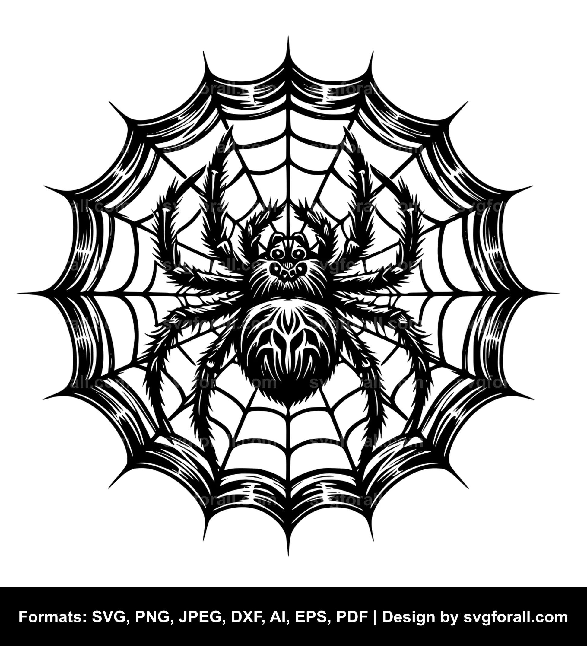 Spiderweb Cricut SVG