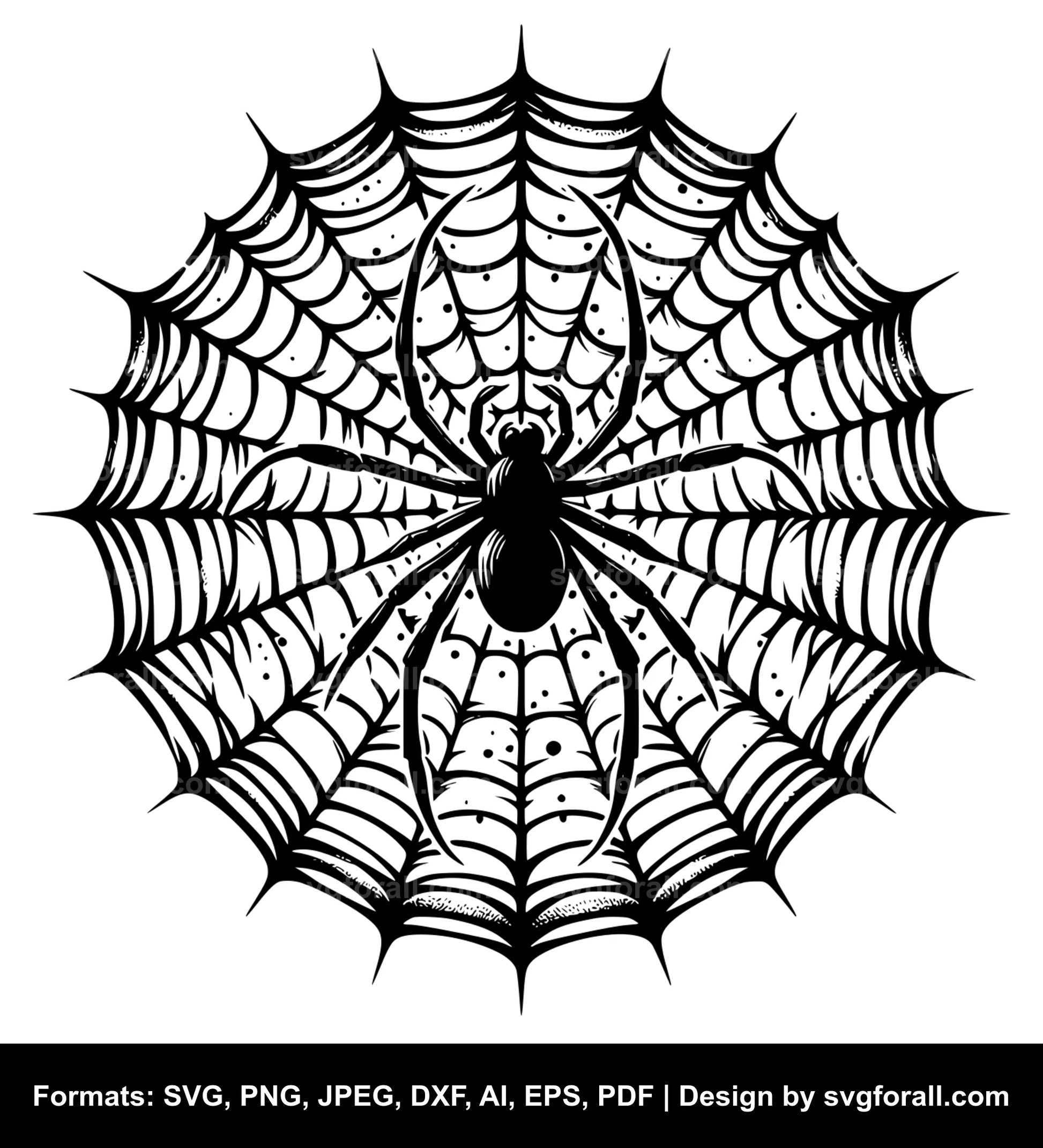 Spiderweb SVG Illustration