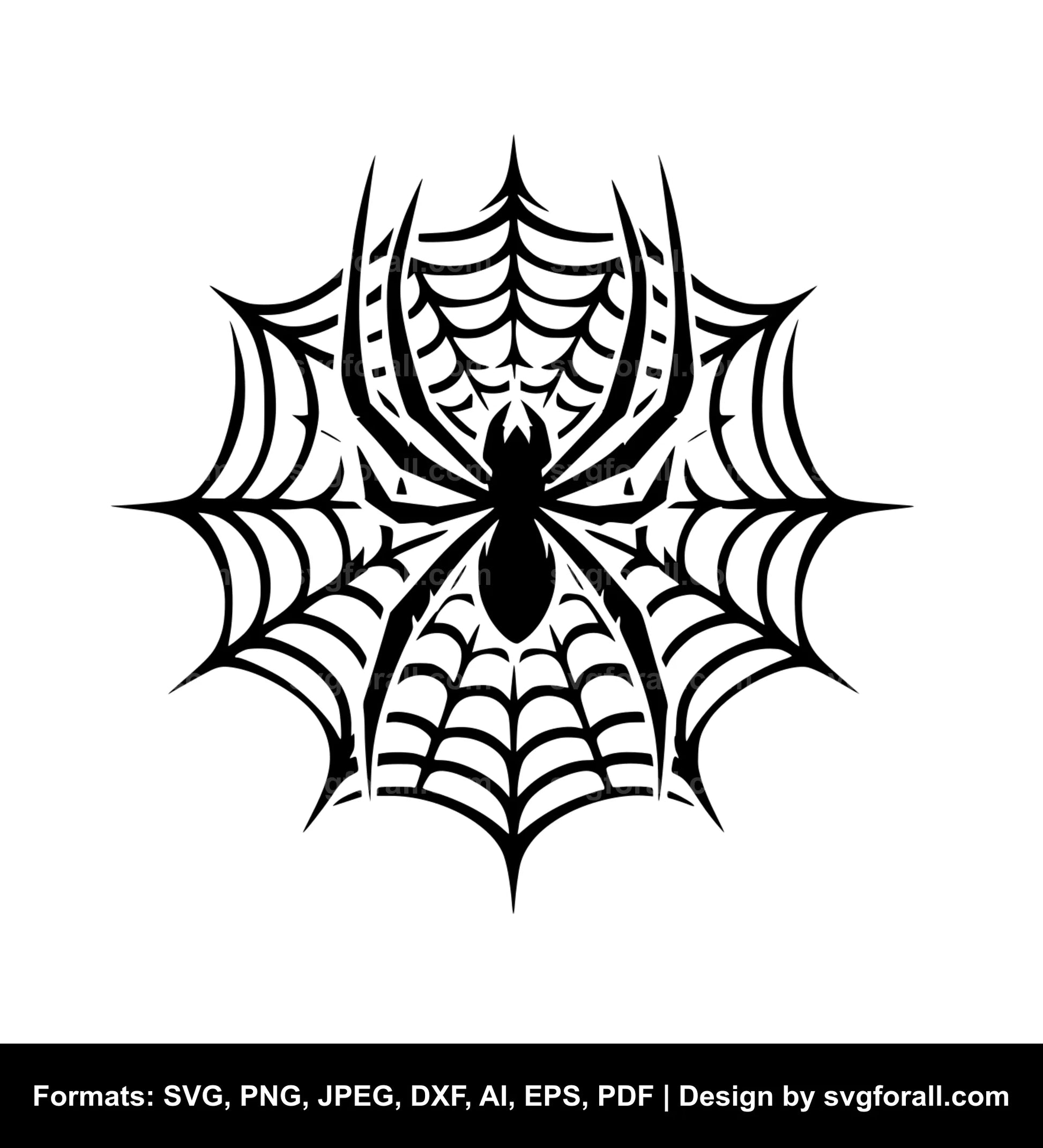 Spiderweb SVG PNG