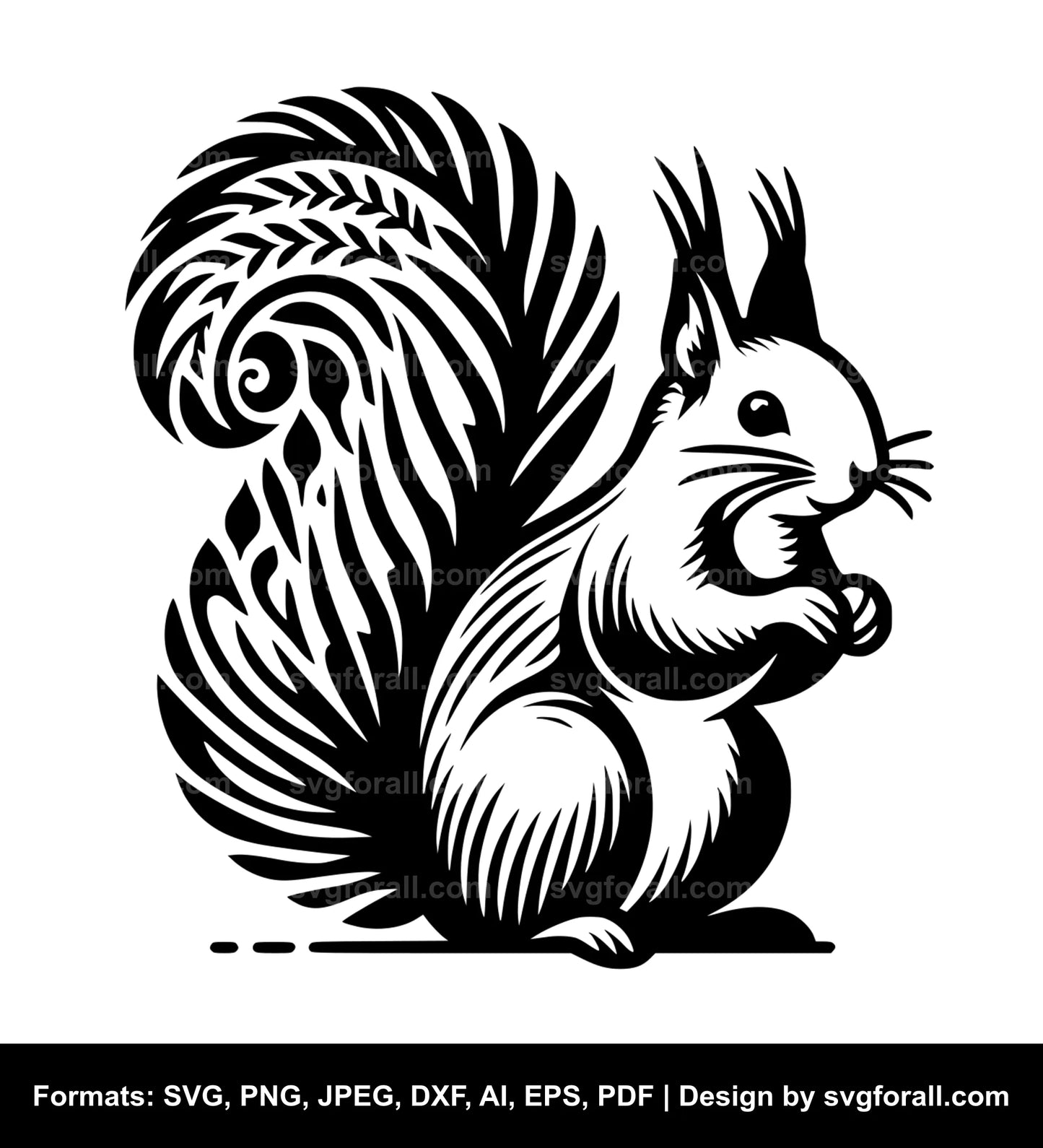 Squirrel Clipart SVG