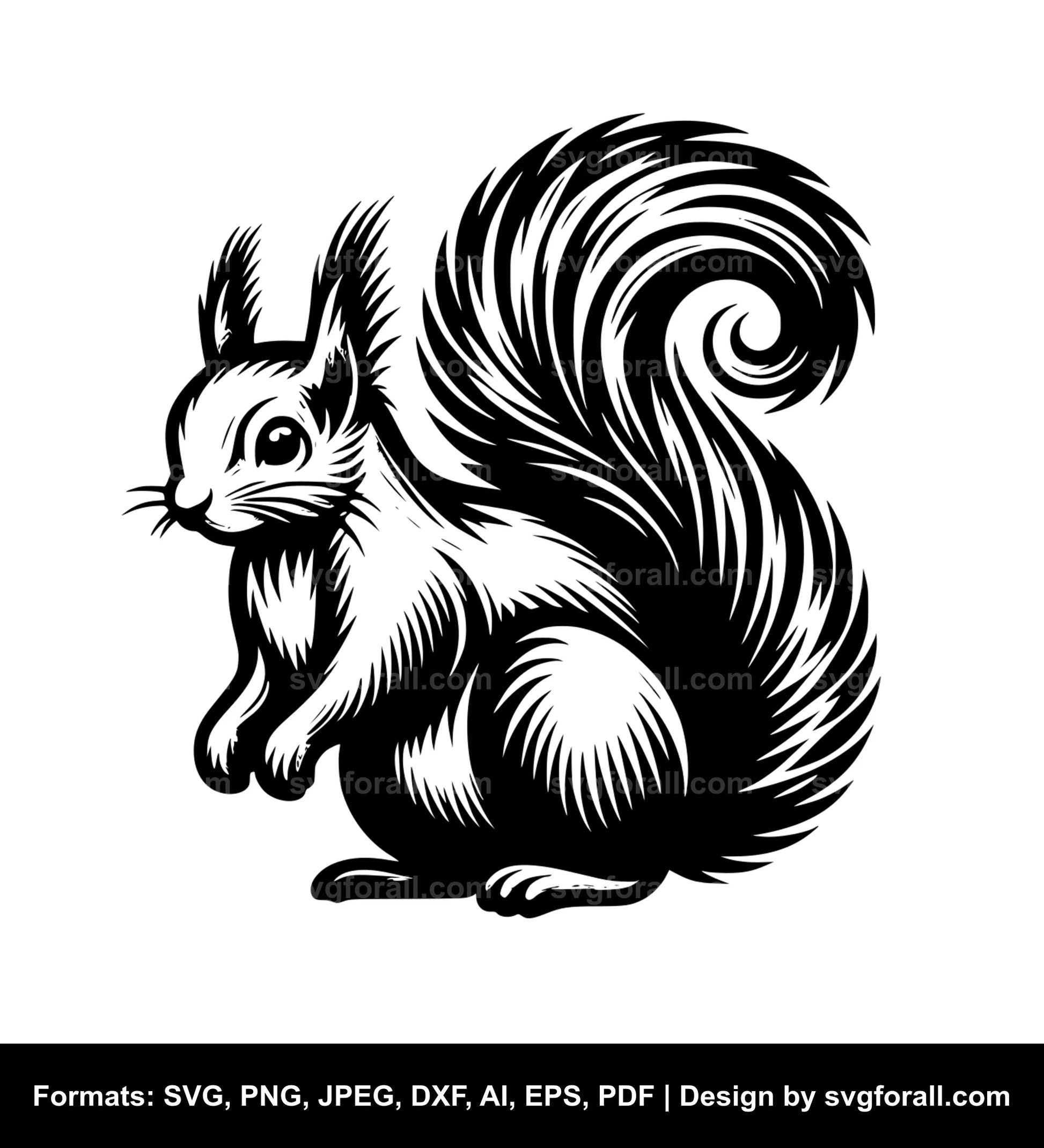 Squirrel SVG Design