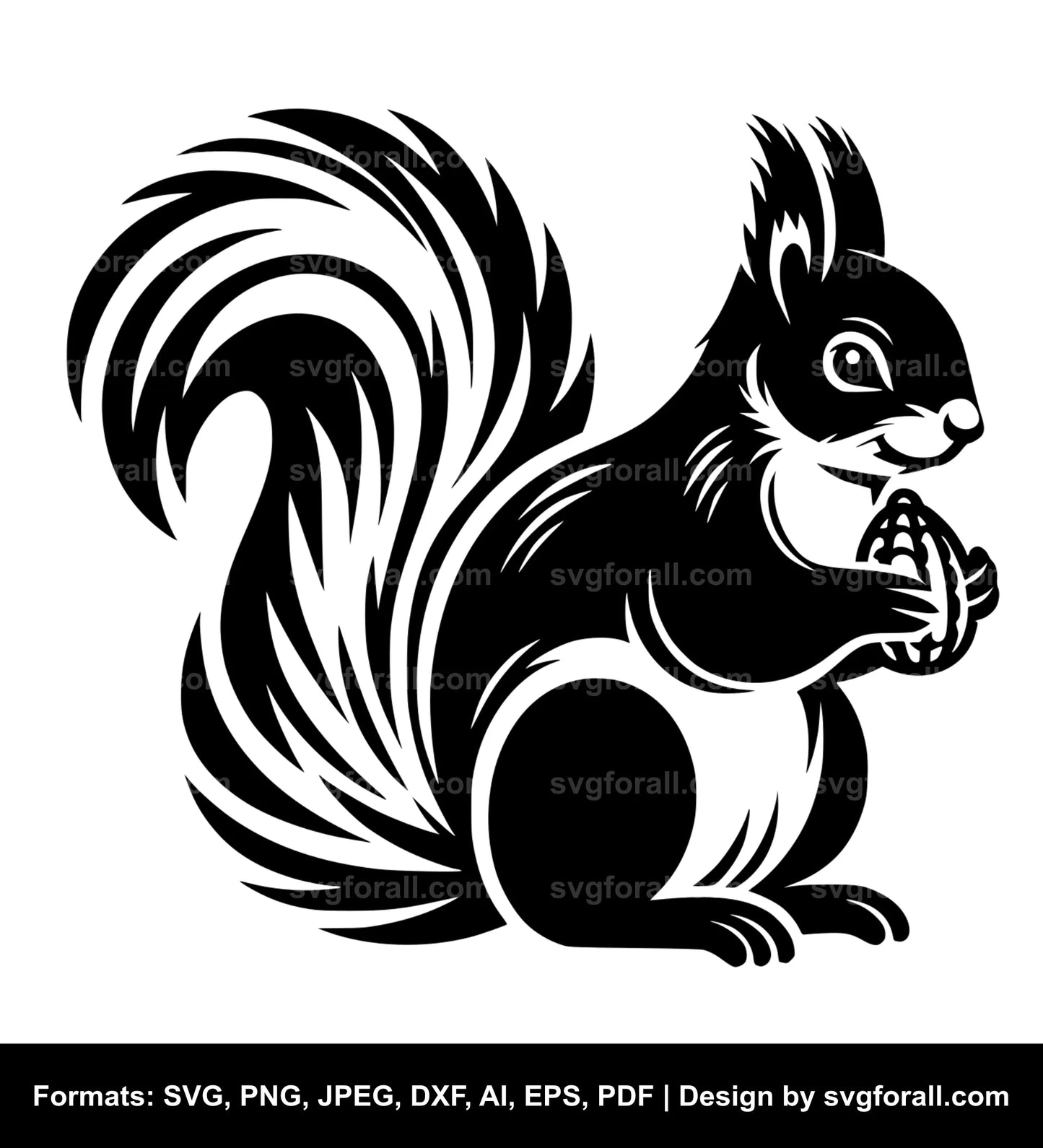 Squirrel SVG Vector