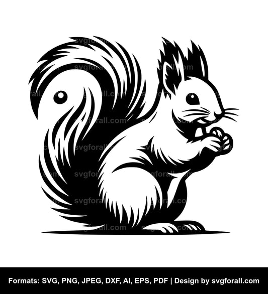 Squirrel Vector SVG