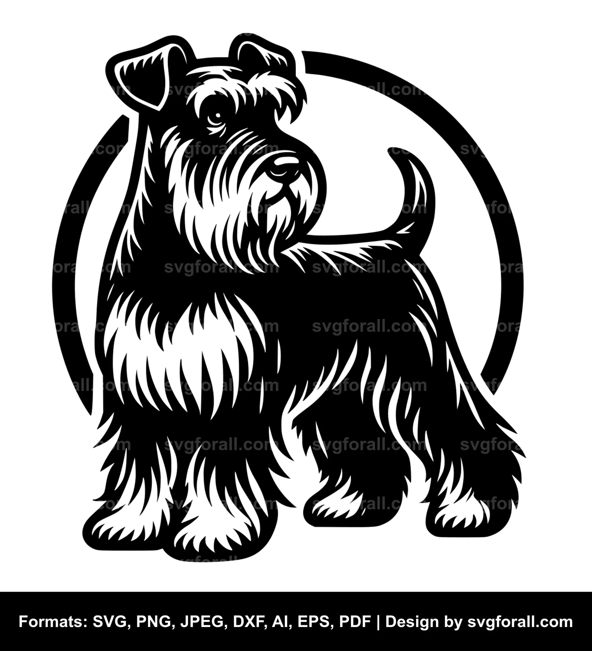 Standard Schnauzer Dog Vector SVG