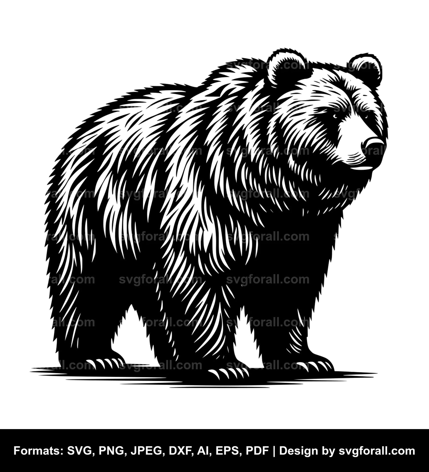 Standing Grizzly Bear SVG Design