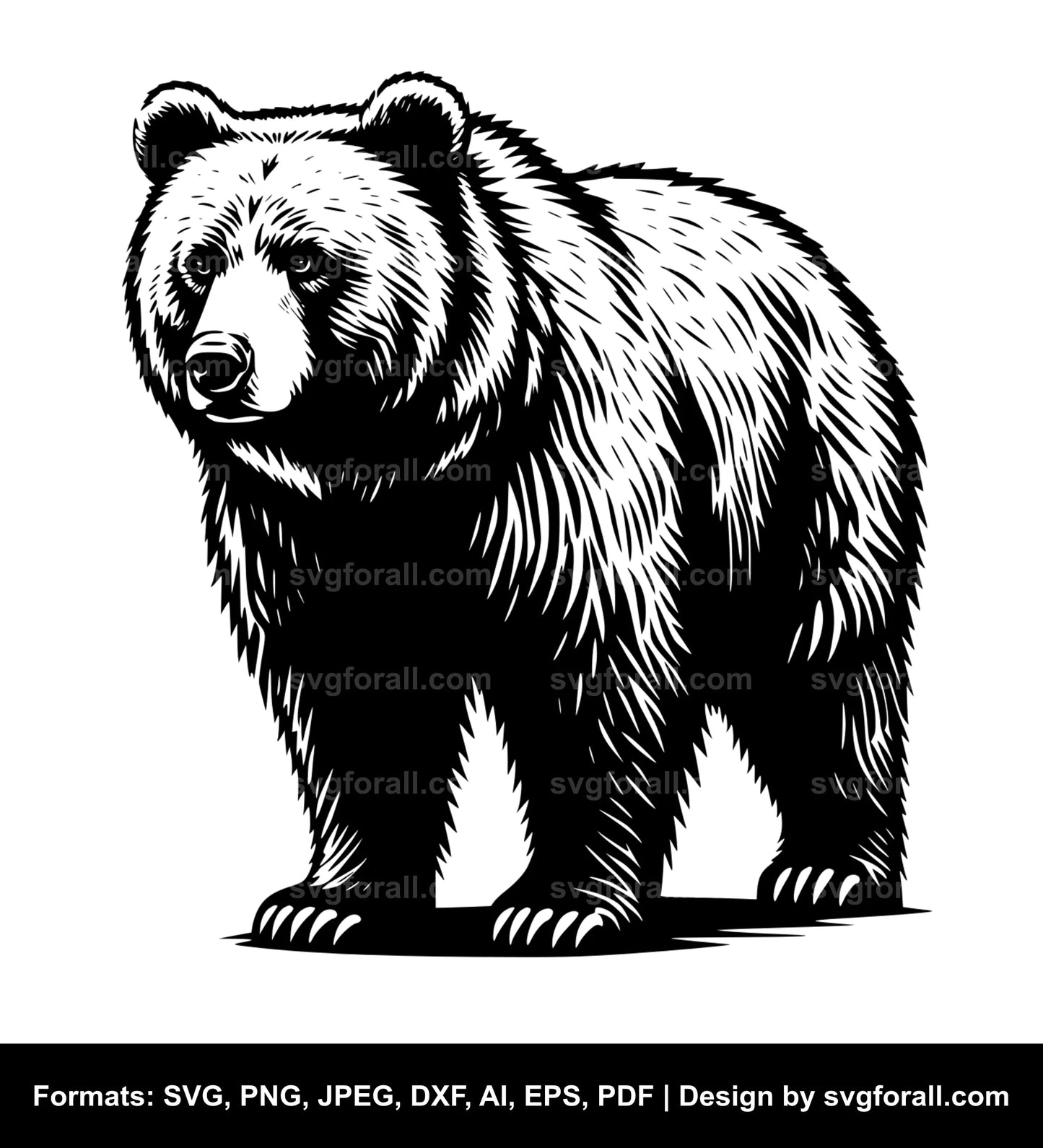 Standing Grizzly Bear SVG PNG