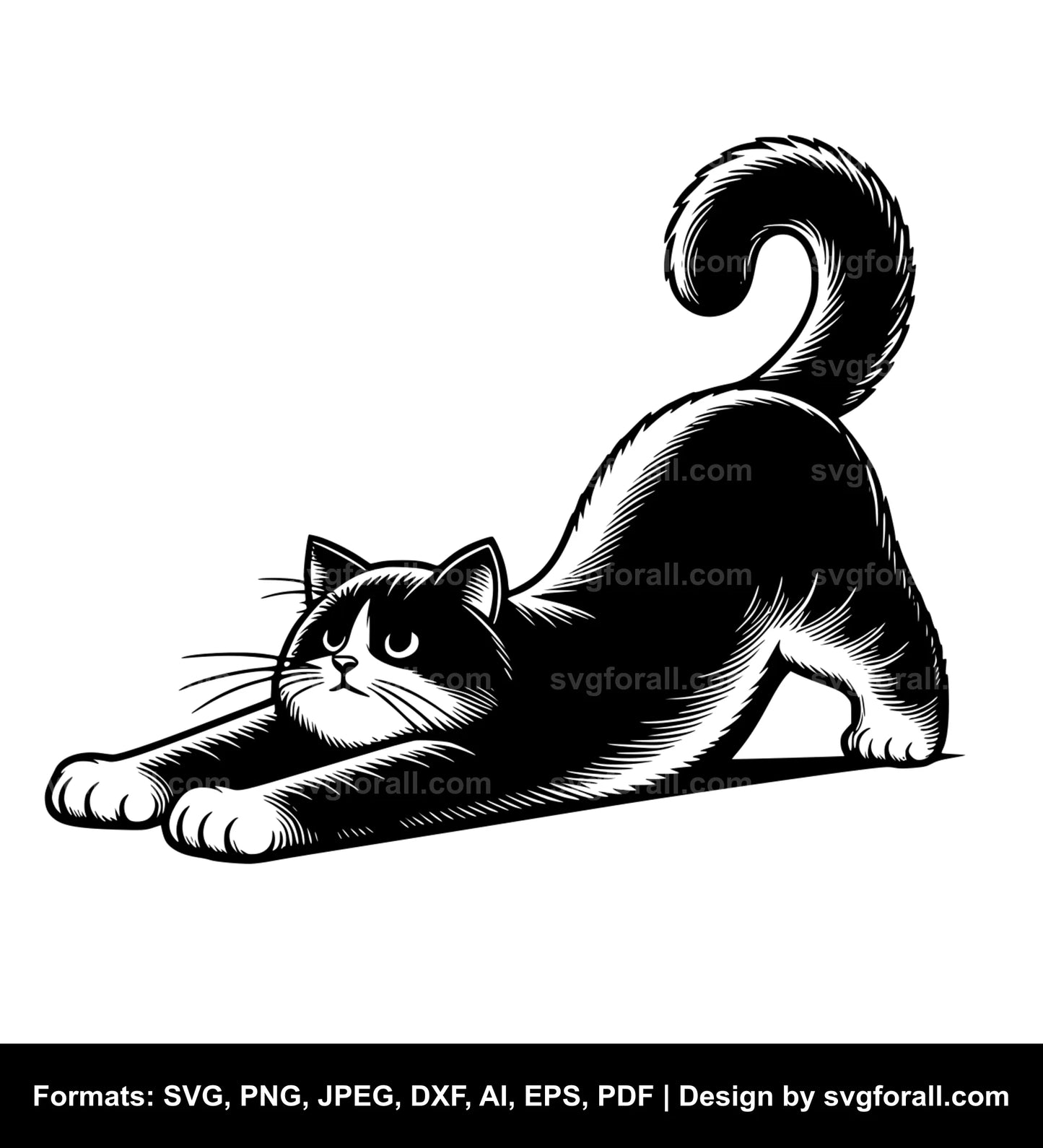 Stretching Cat SVG Vector