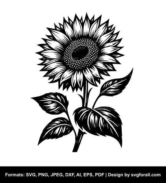 Sunflower SVG Design