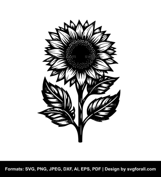 Sunflower SVG PNG