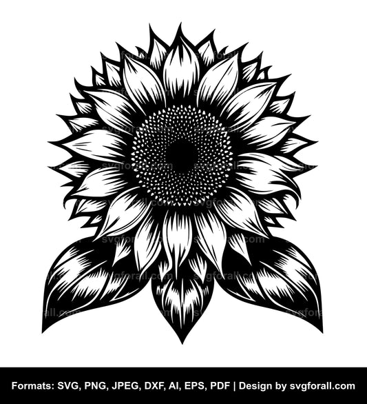 Sunflower SVG Vector