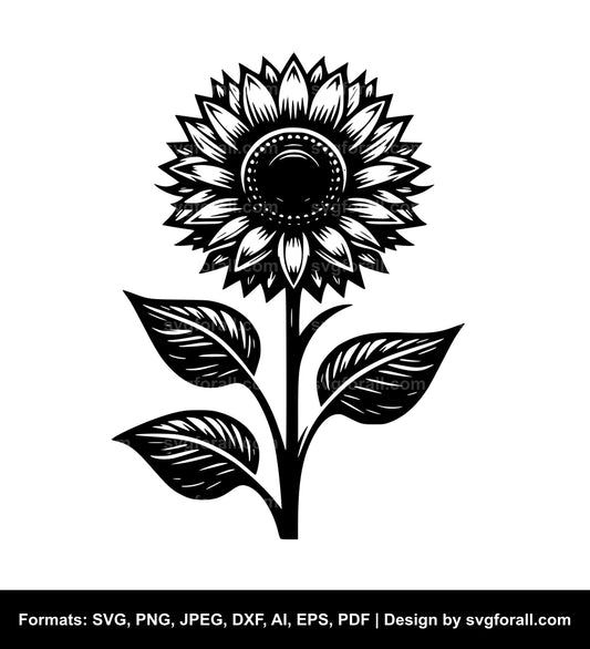 Sunflower Vector SVG