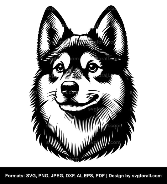 Swedish Vallhund Dog SVG File