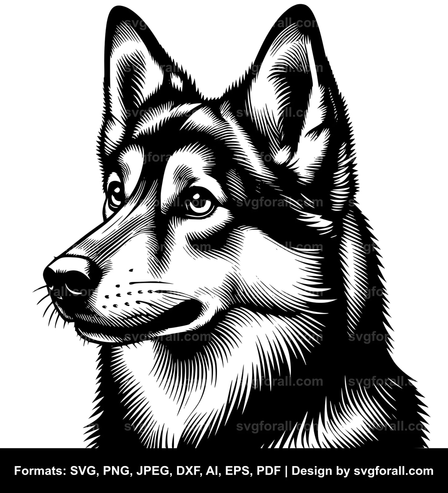 Swedish Vallhund Dog SVG Vector