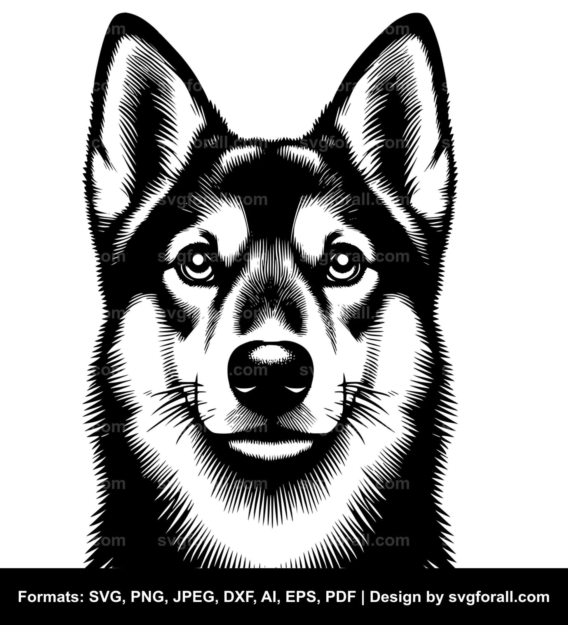 Swedish Vallhund Dog Vector SVG