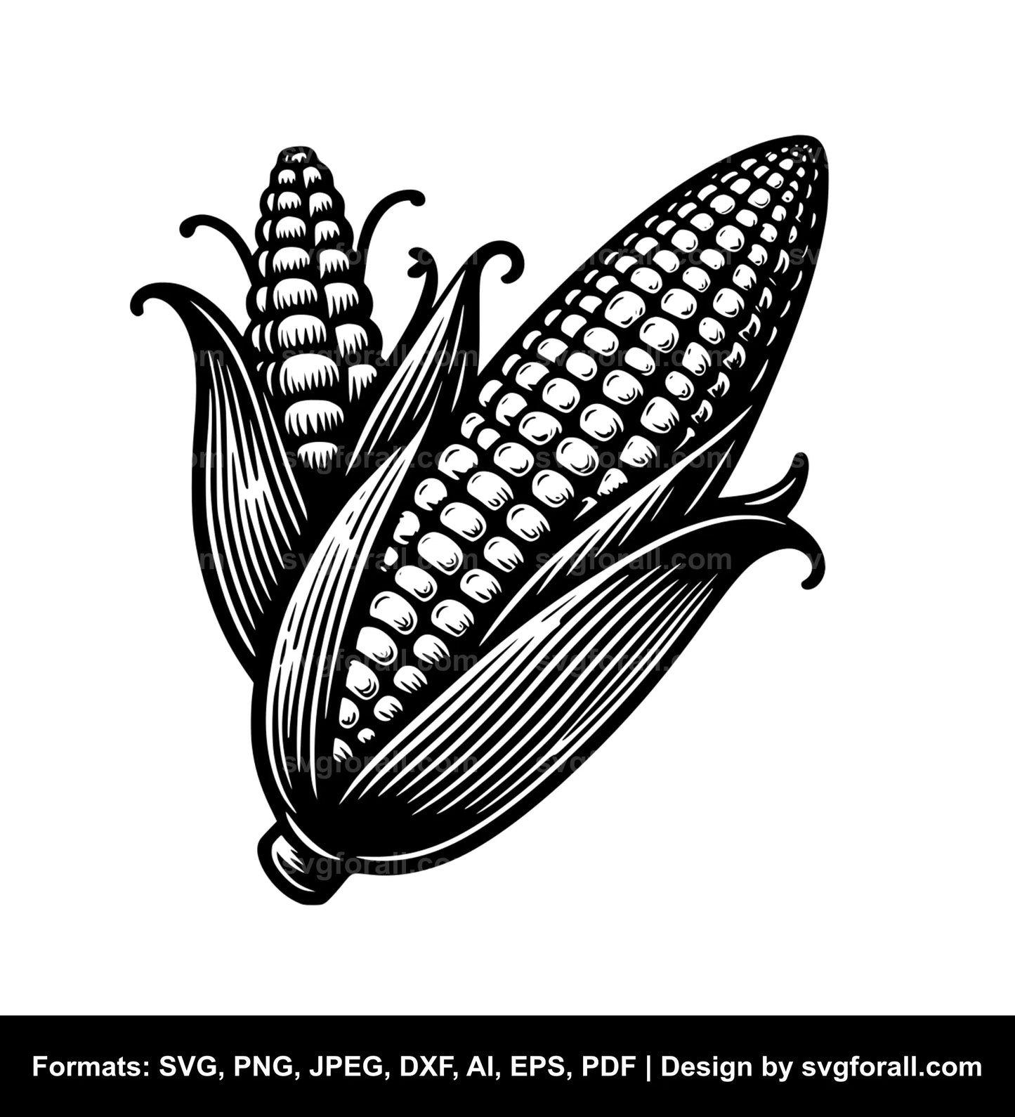 Sweetcorn SVG File