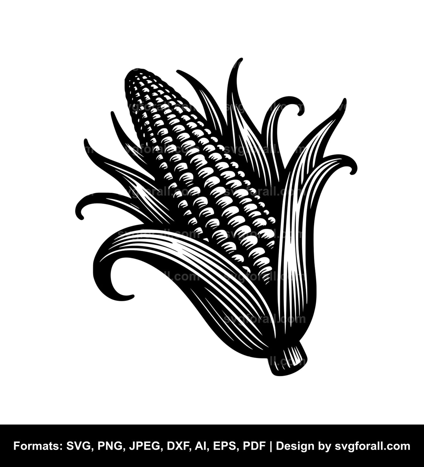 Sweetcorn SVG Vector