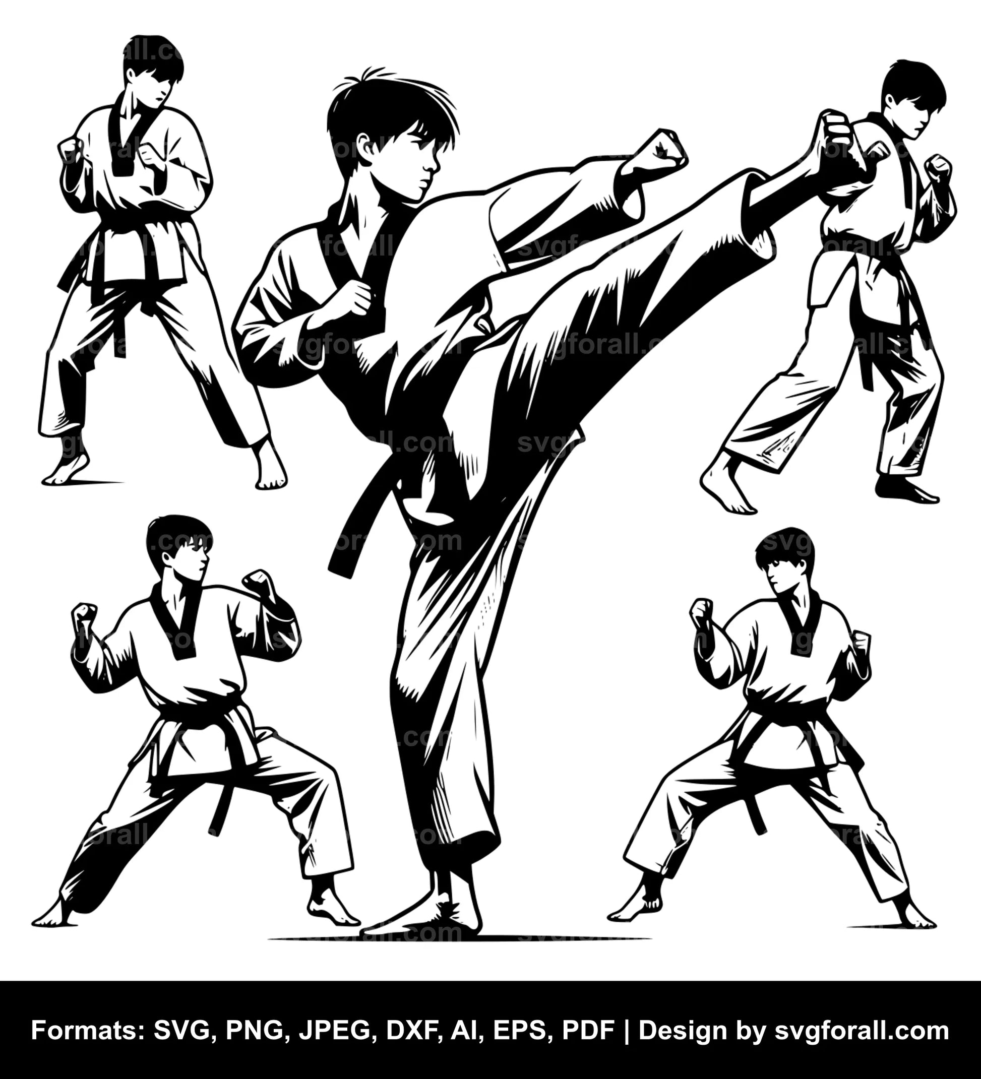 Taekwondo Boy SVG PNG