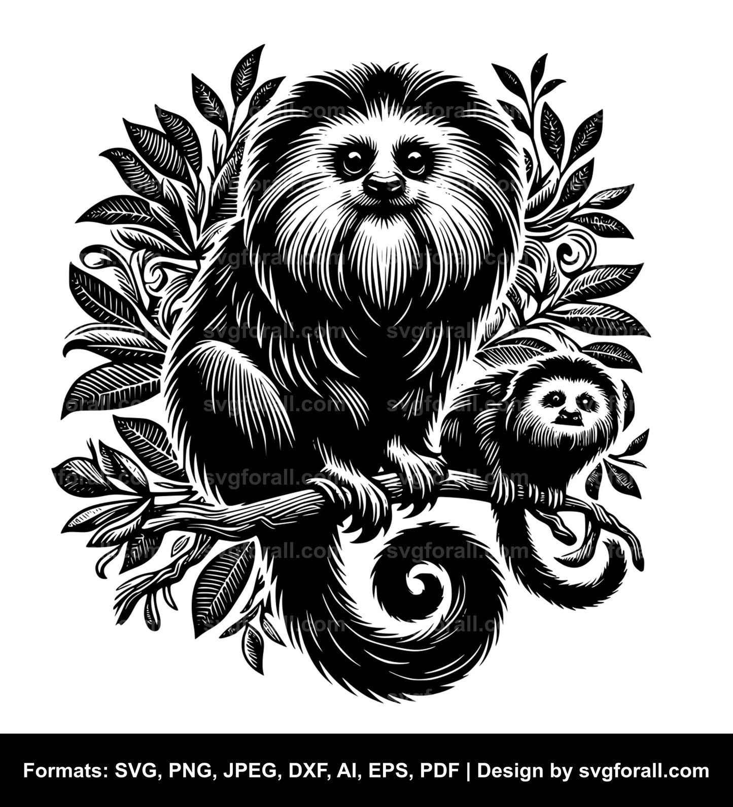 Tamarin SVG PNG