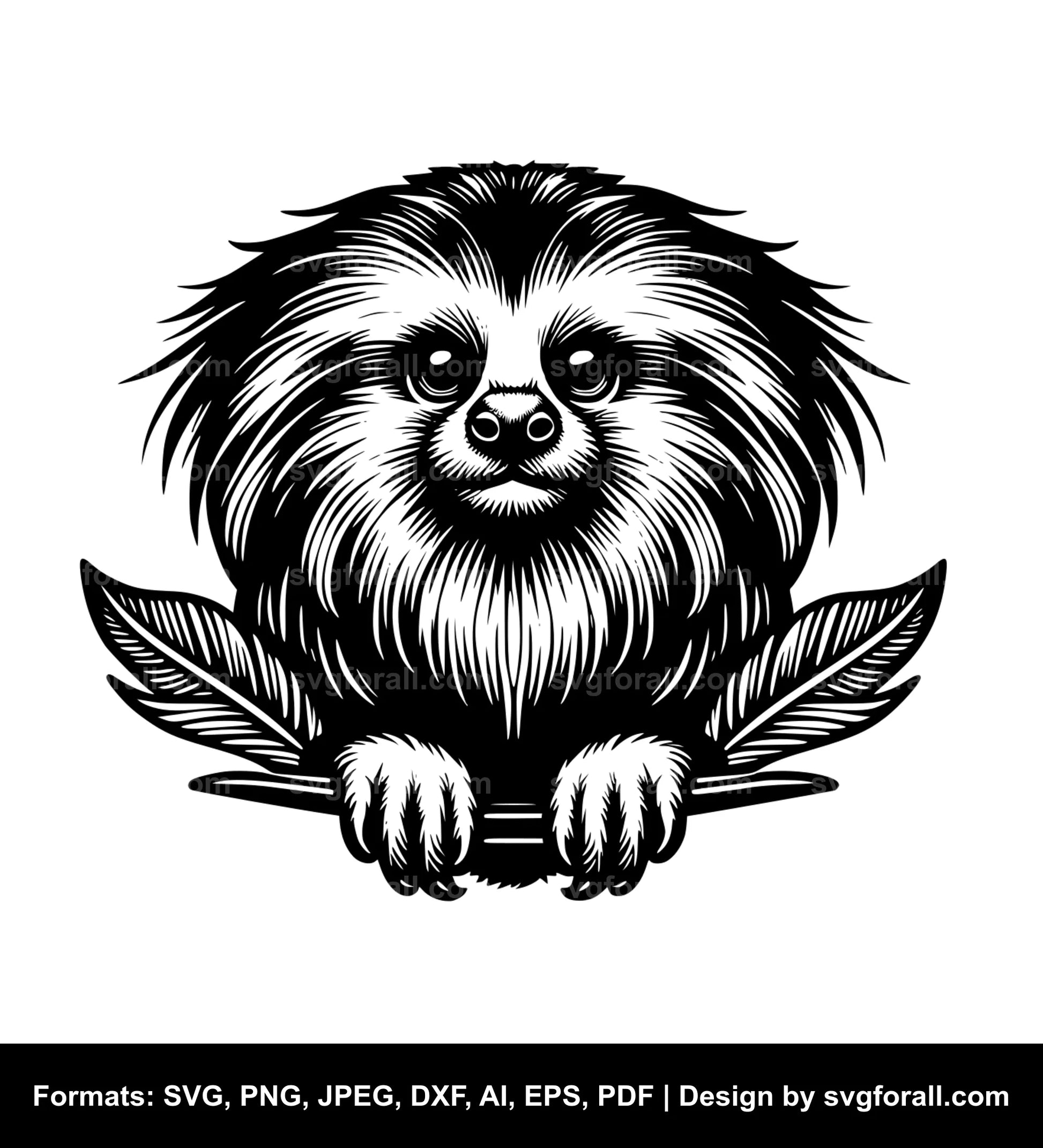 Tamarin SVG Vector