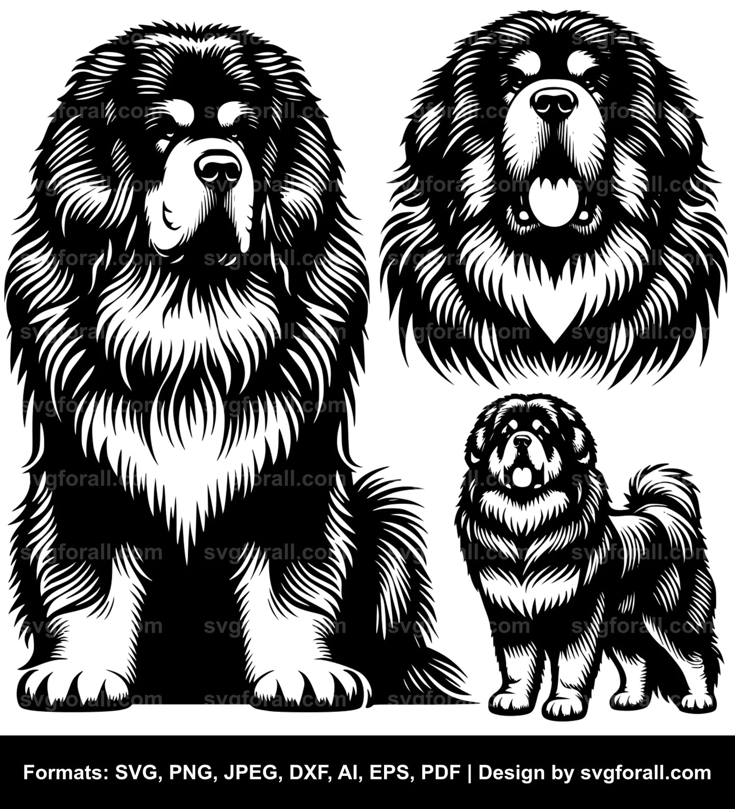 Tibetan Mastiff Dog SVG File