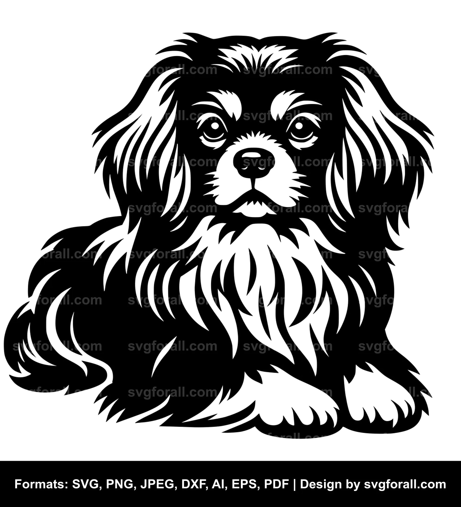 Tibetan Spaniel Dog SVG