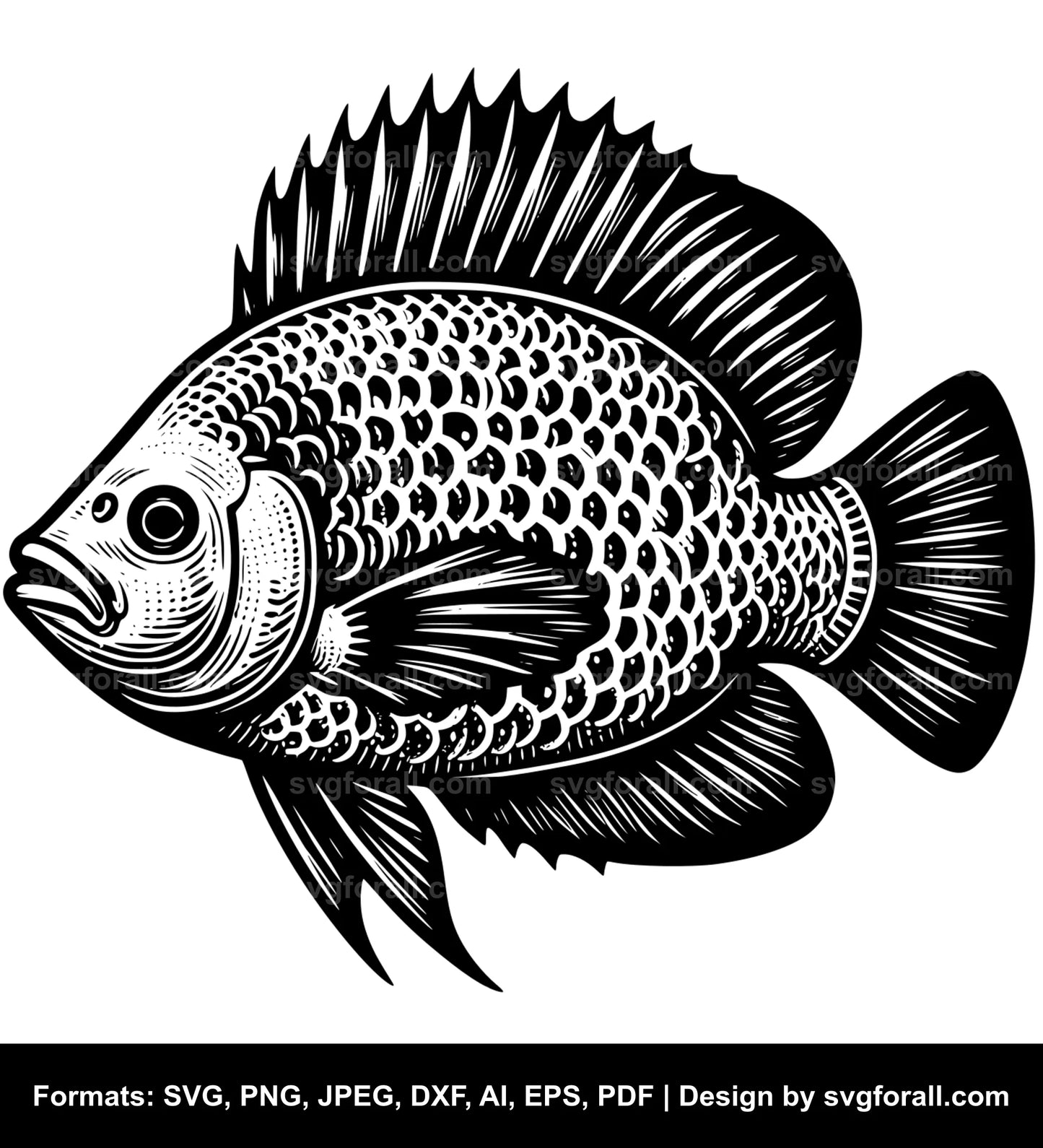 Tilapia Fish Black SVG