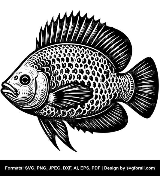 Tilapia Fish Black SVG