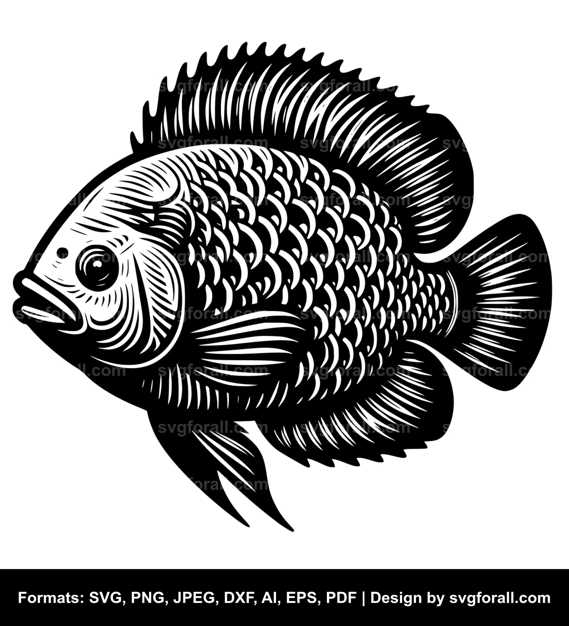 Tilapia Fish SVG