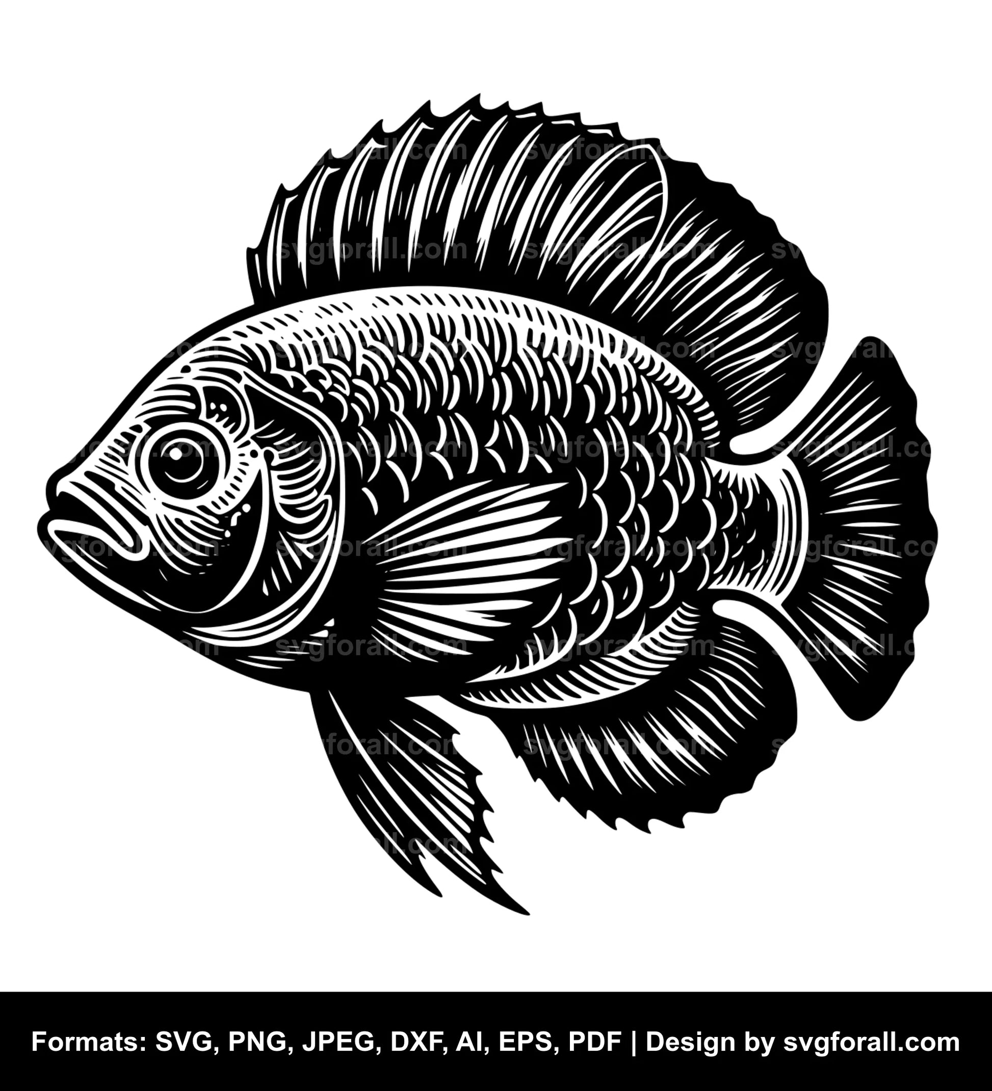 Tilapia Fish SVG File