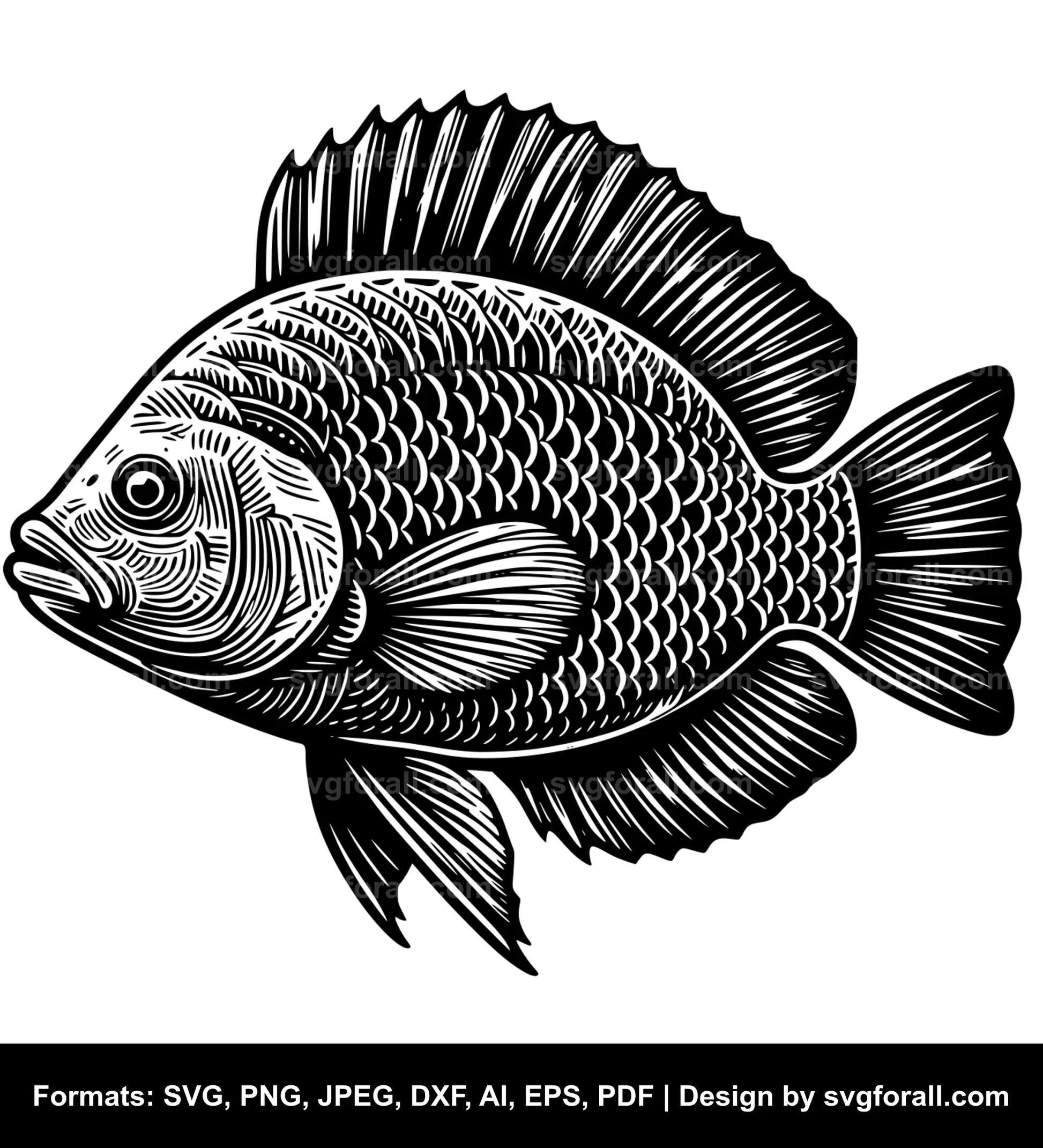 Tilapia Fish SVG Vector