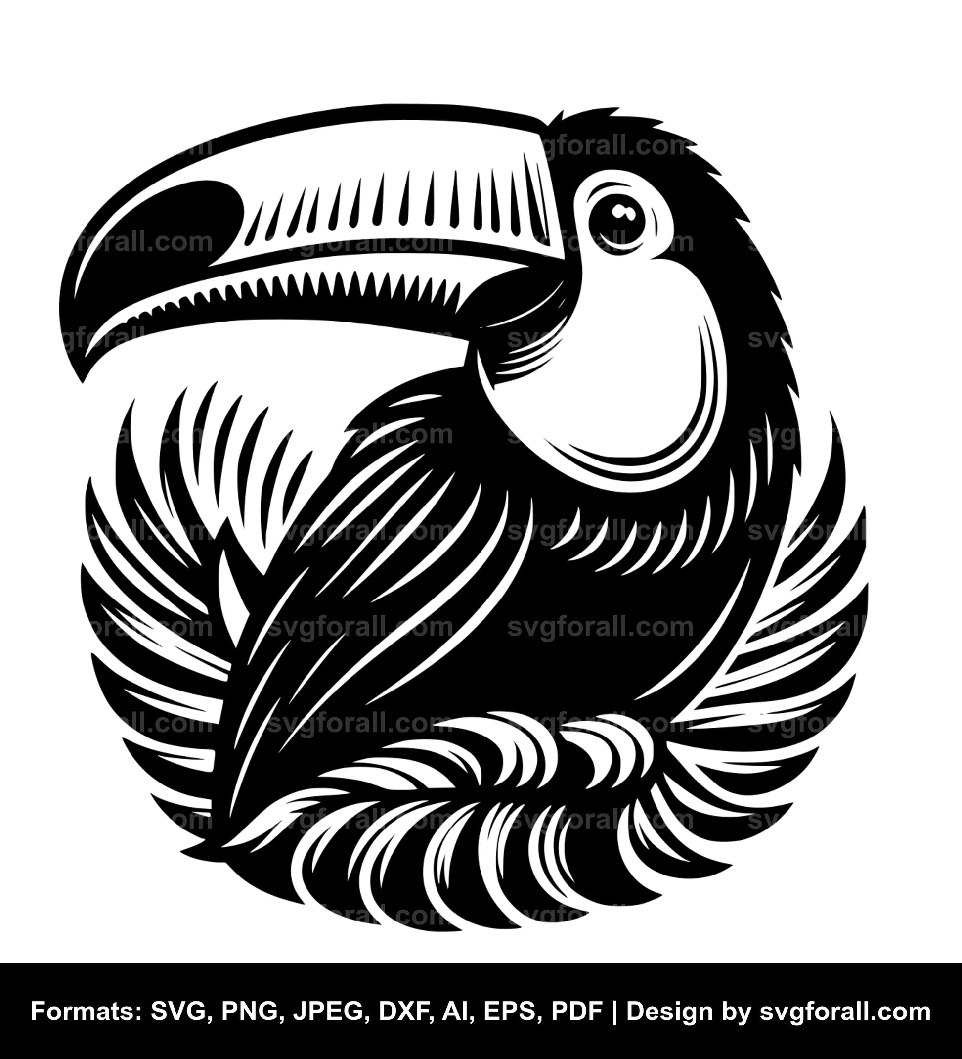 Toucan Bird Cricut SVG