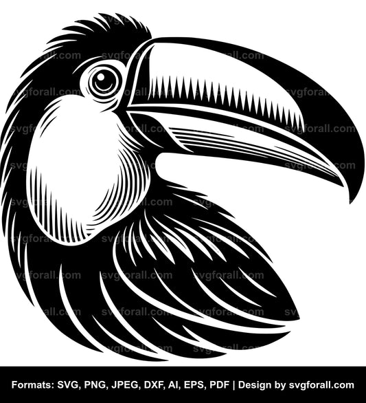 Toucan Bird SVG