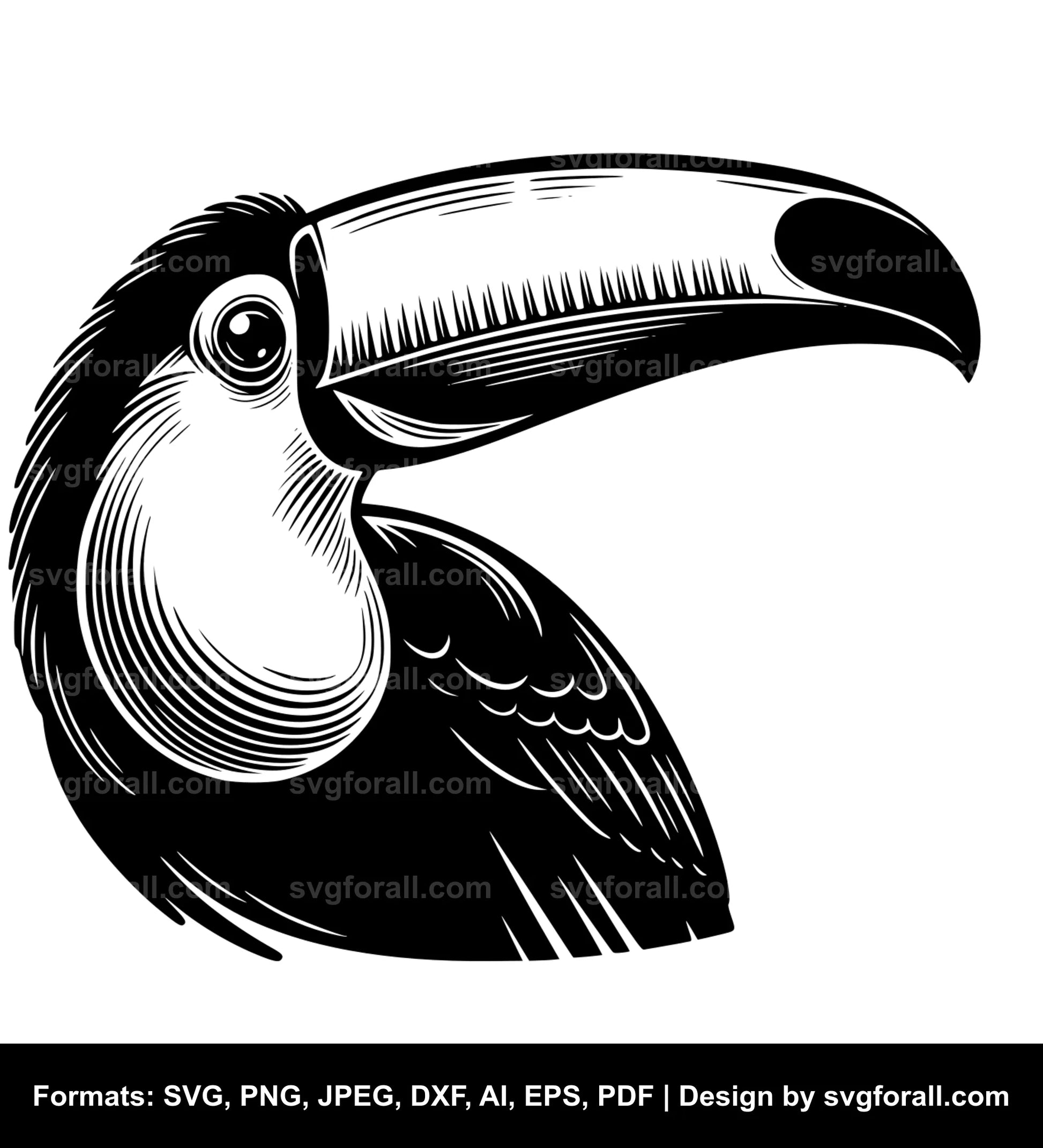 Toucan Bird Vector SVG