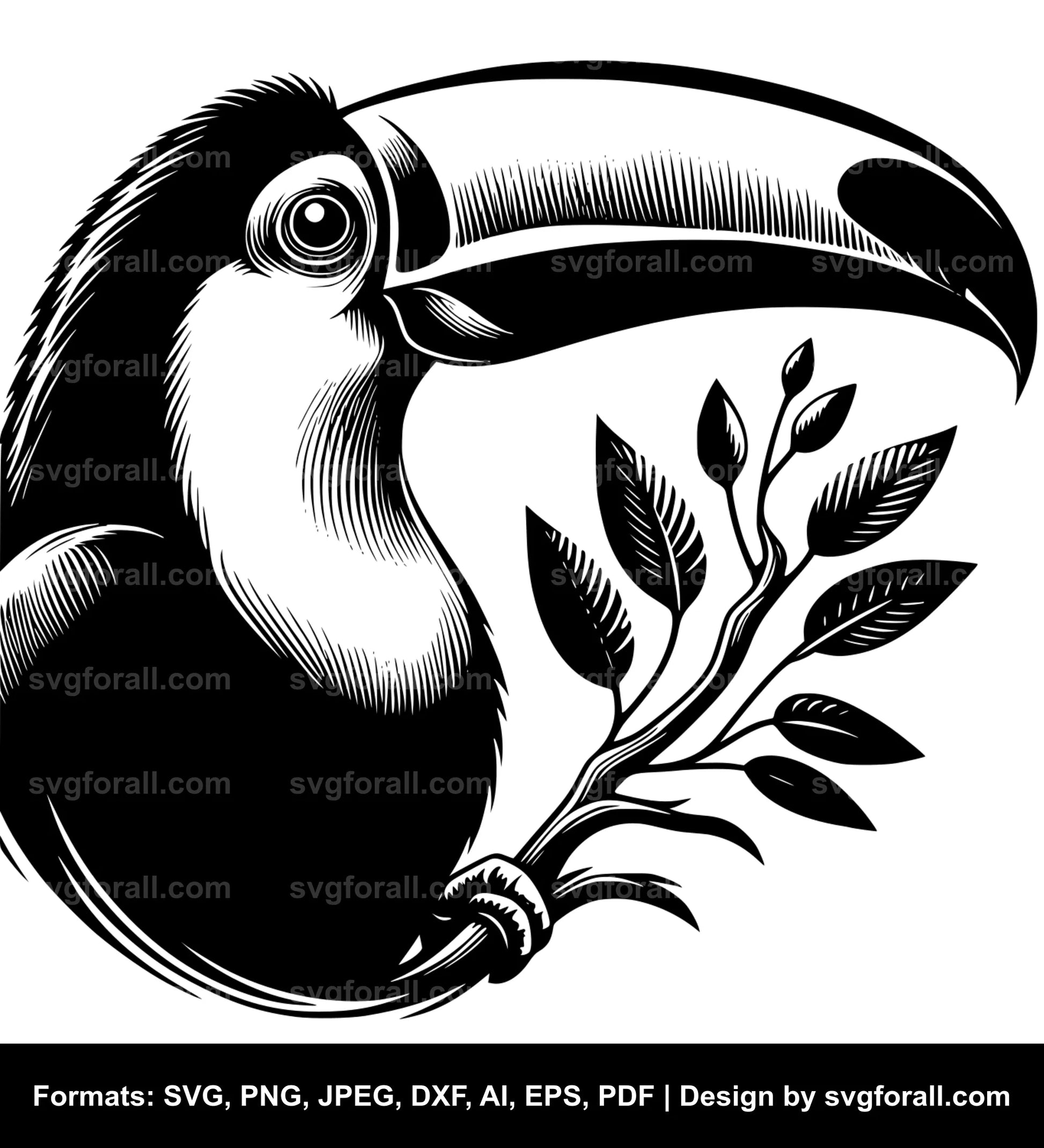 Toucan SVG Vector