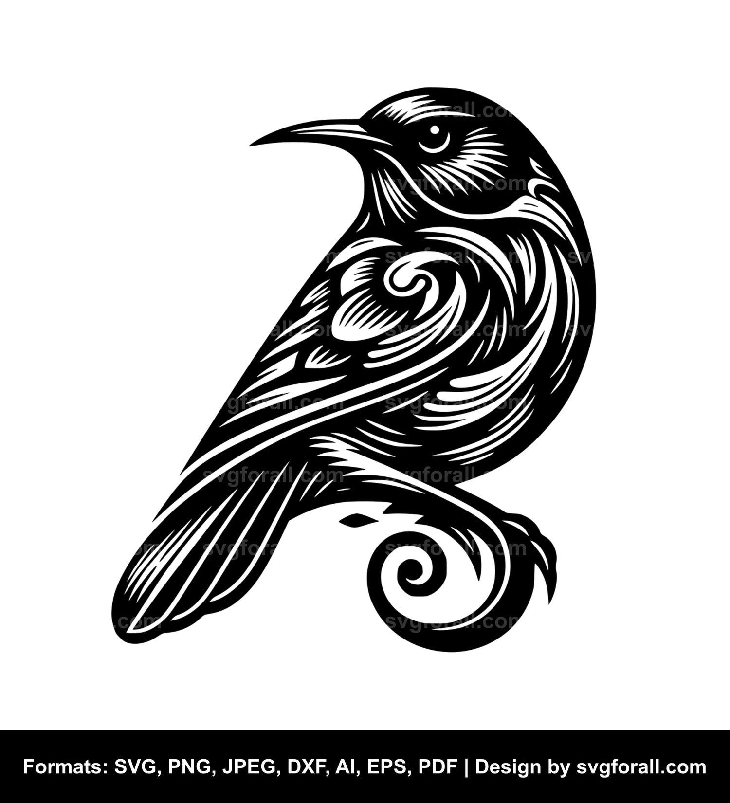 Tui Bird Cricut SVG