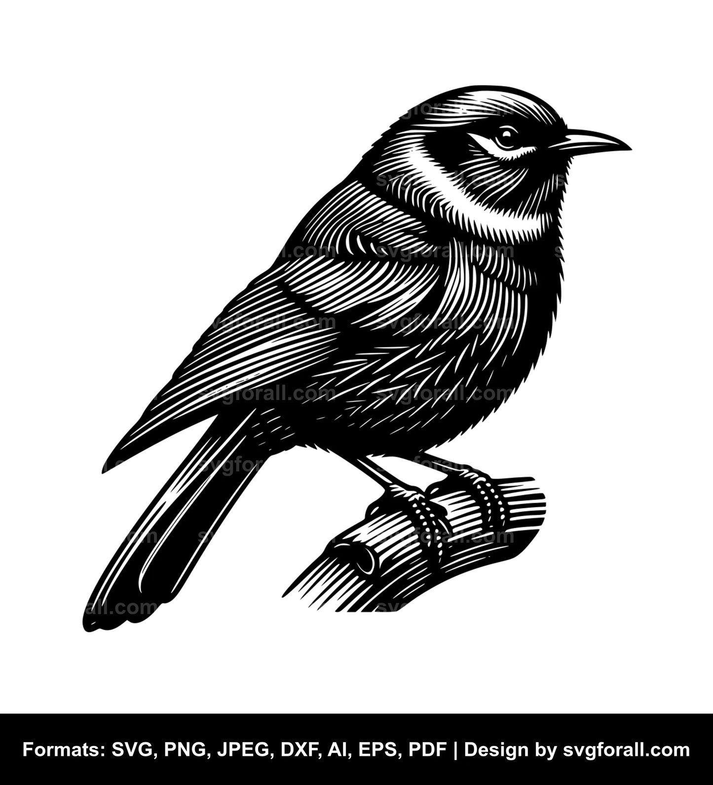 Tui Bird SVG File