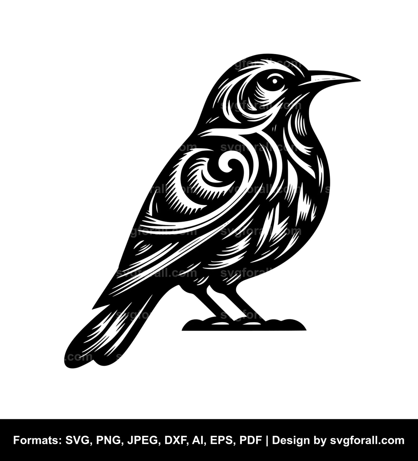 Tui Bird SVG Vector