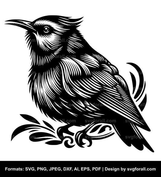 Tui Bird Vector SVG