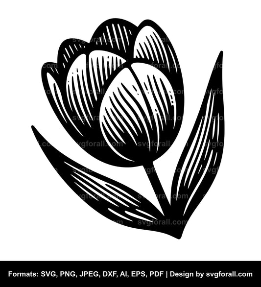 Tulip Flower SVG