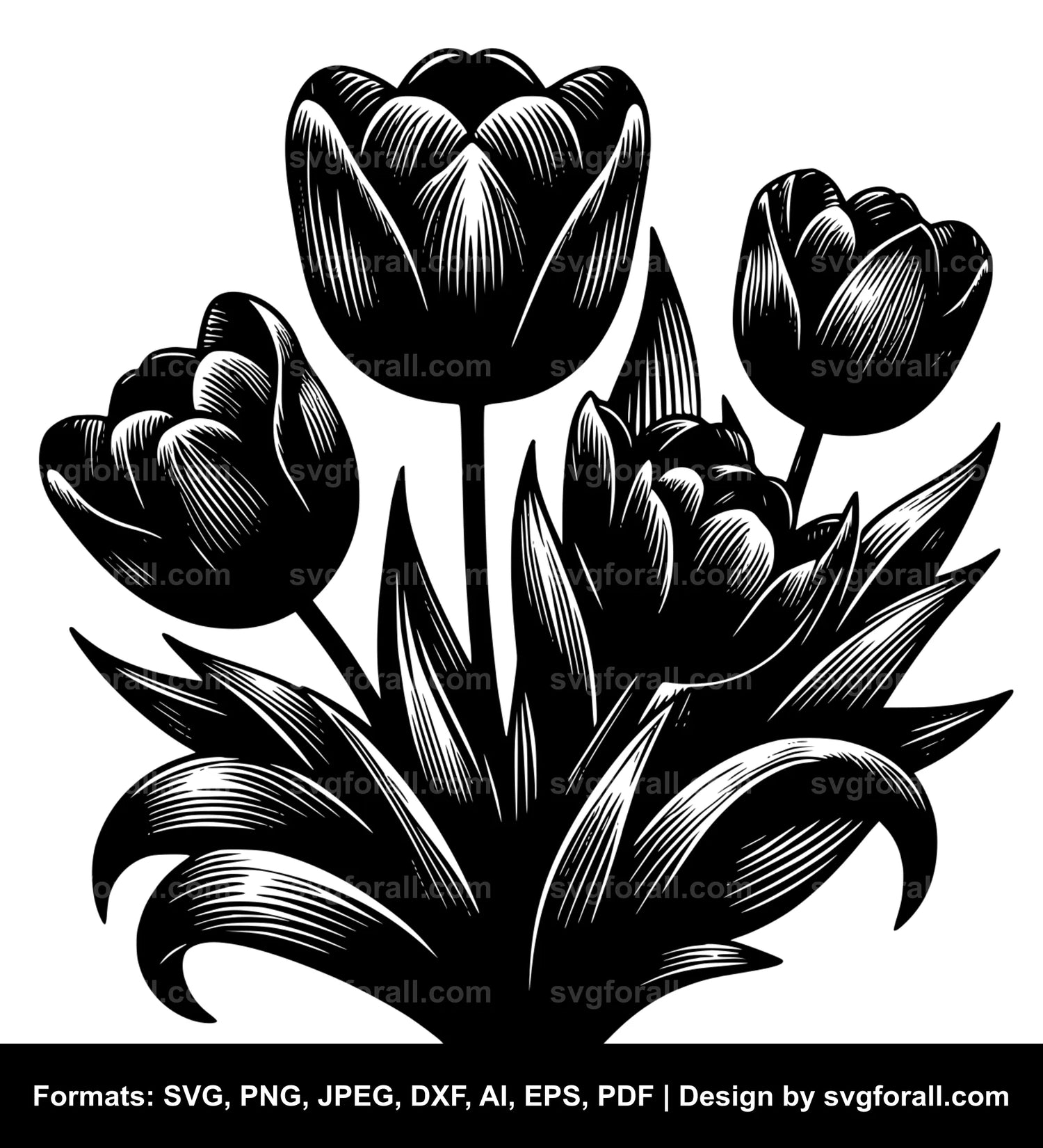 Tulip Flower SVG Design