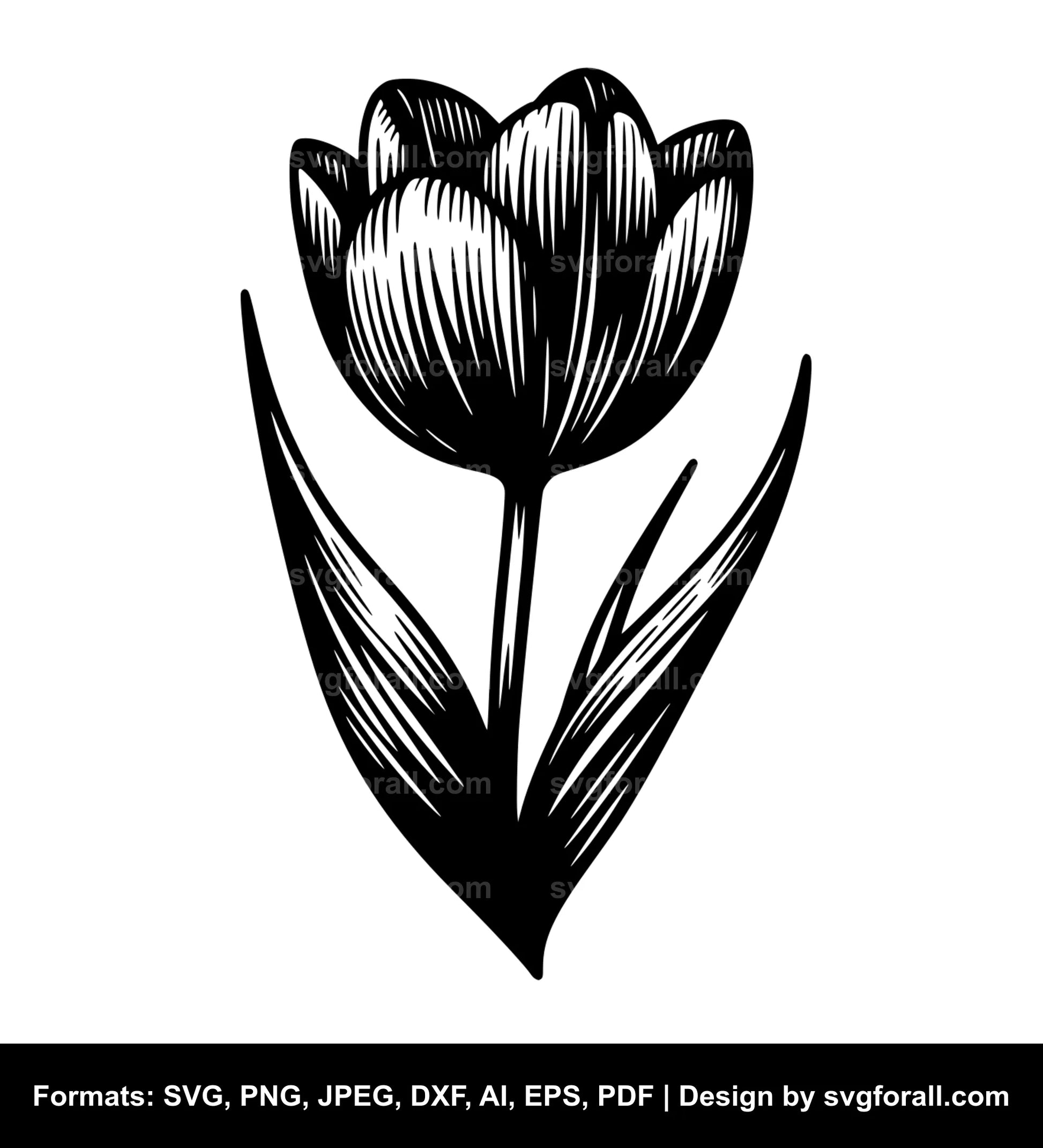 Tulip Flower SVG PNG