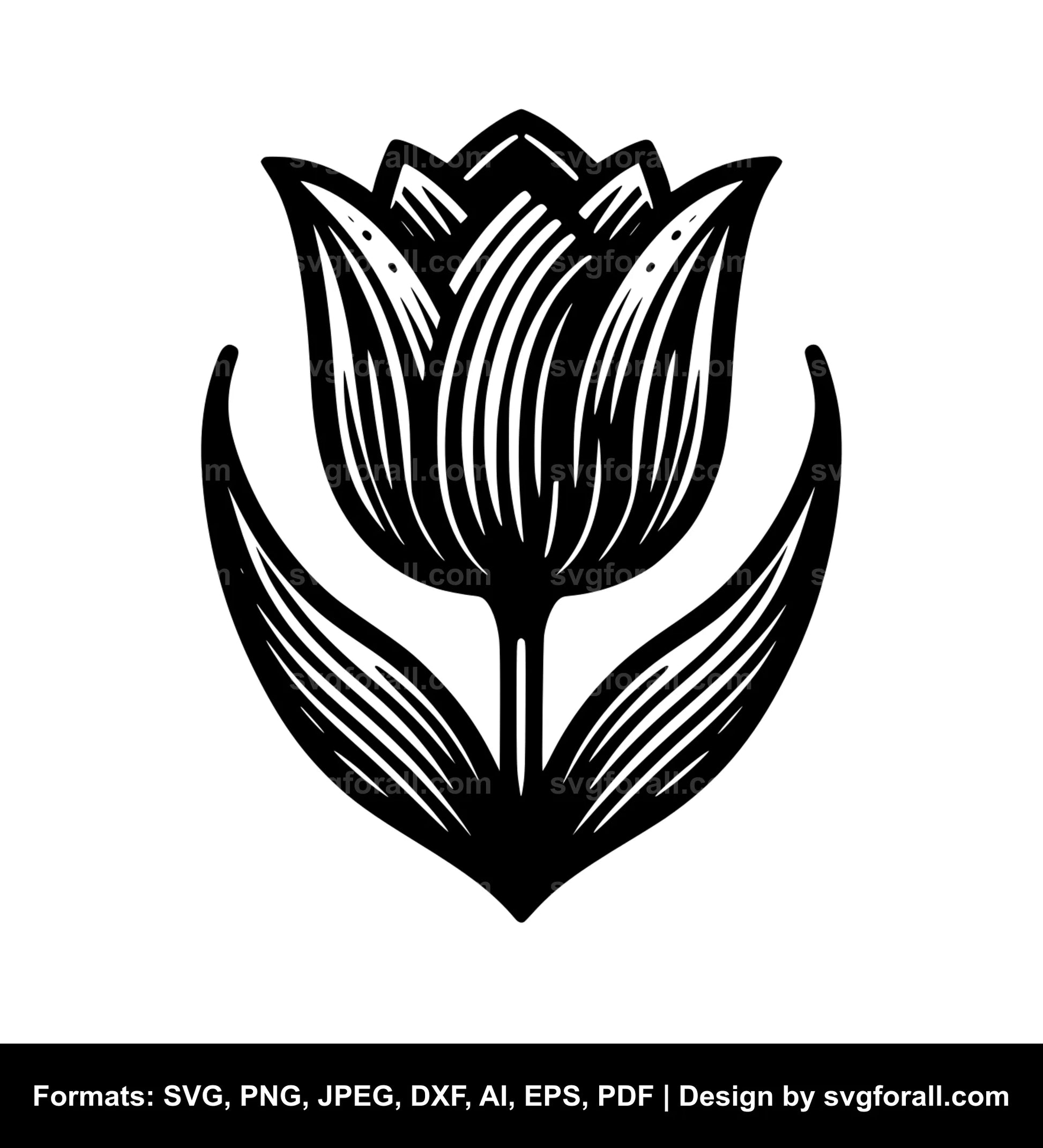 Tulip Flower SVG Vector