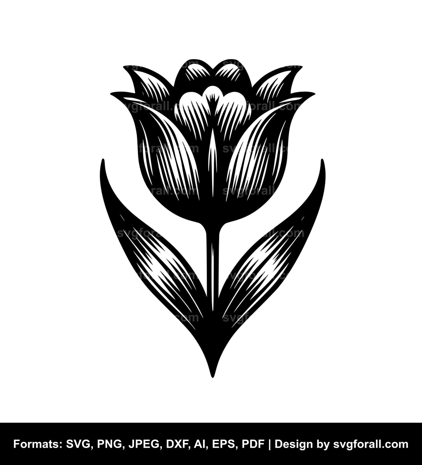 Tulip Flower Vector SVG