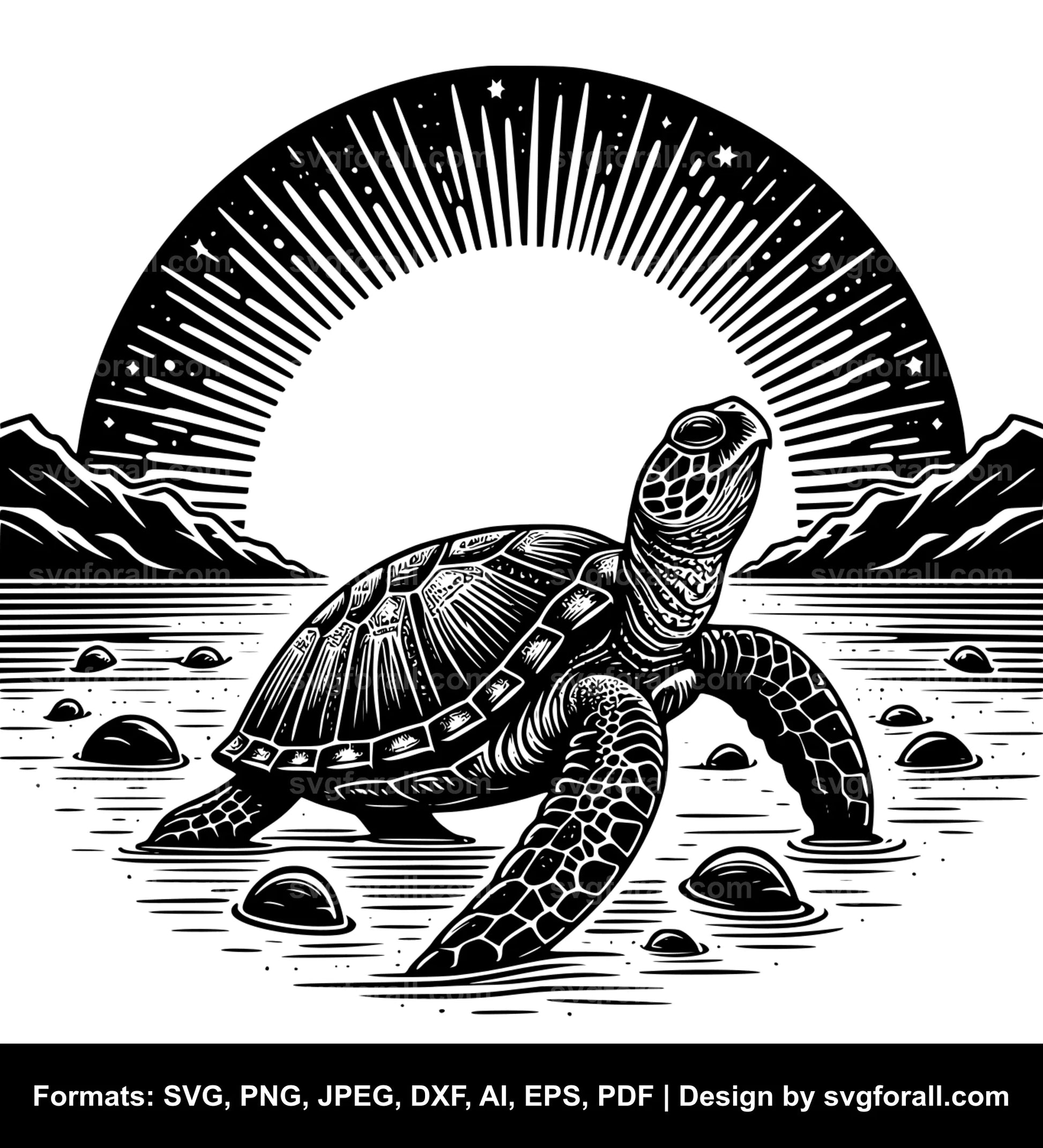 Turtle SVG PNG