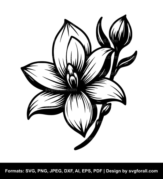 Vanilla Flower SVG PNG