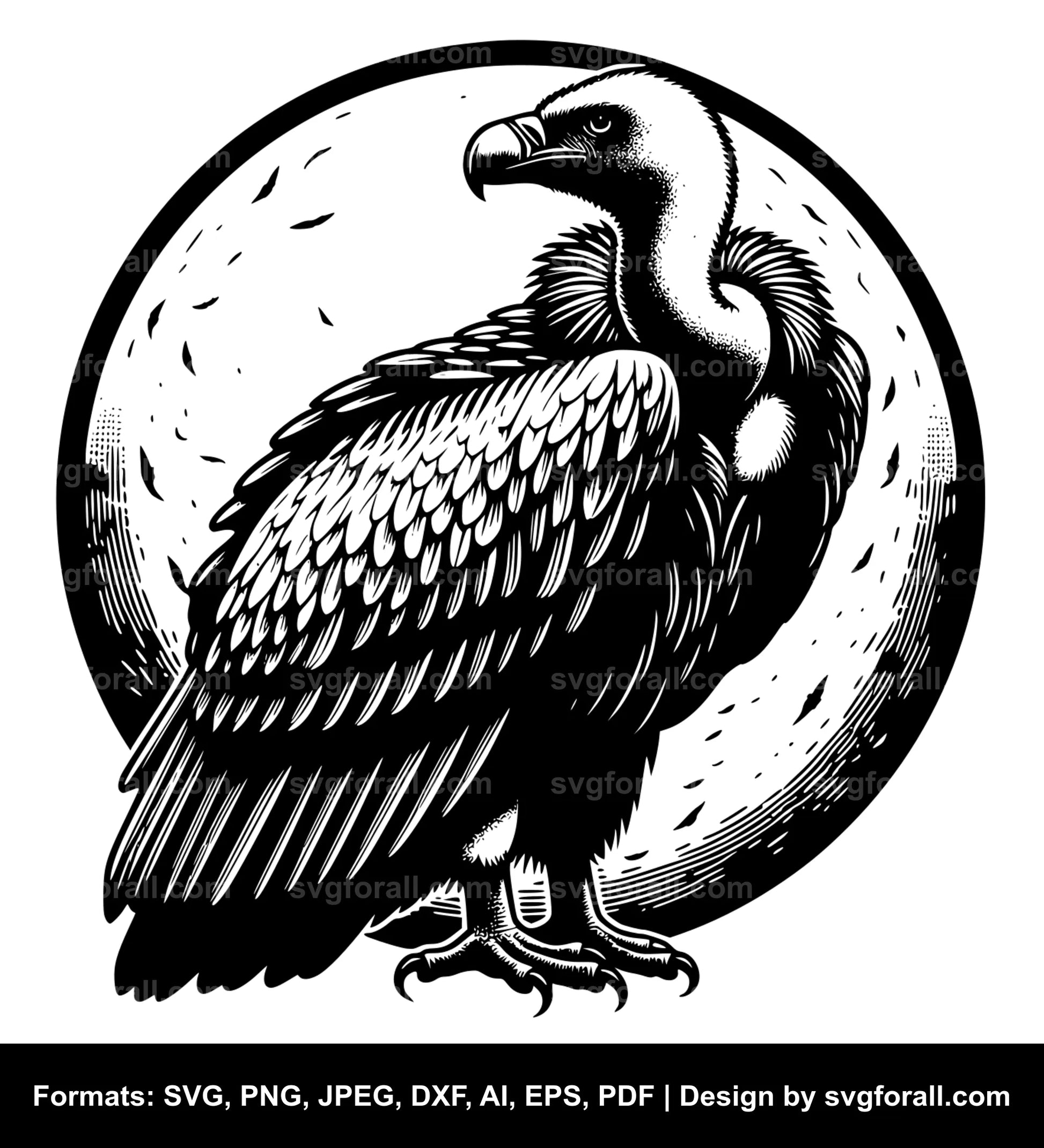 Vulture Bird SVG