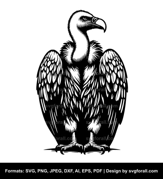 Vulture Bird SVG Vector