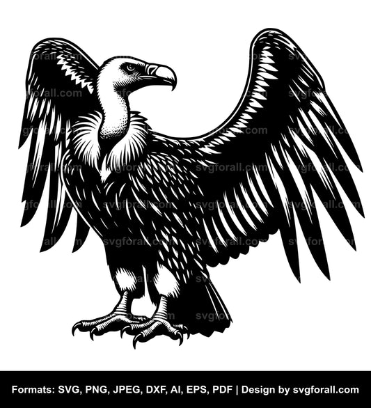 Vulture Bird Vector SVG