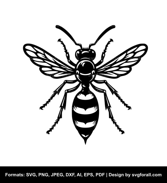 Wasp SVG